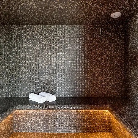 Crowne Plaza - Cite Internationale Hotell Lyon