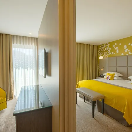 Crowne Plaza - Cite Internationale Hotel Lyon