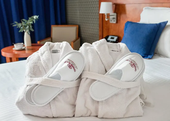 Crowne Plaza - Cite Internationale Hotel